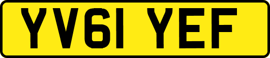 YV61YEF