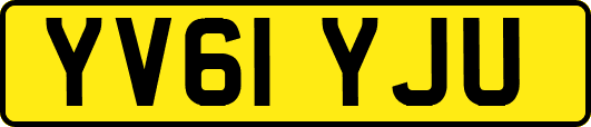 YV61YJU