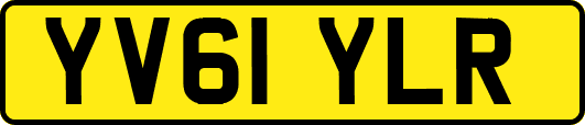 YV61YLR