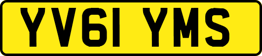YV61YMS