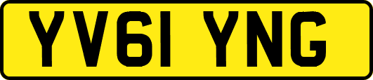 YV61YNG