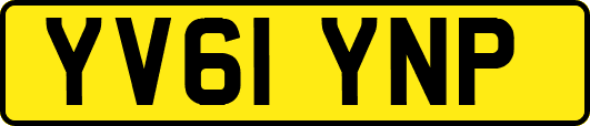 YV61YNP