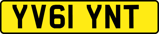 YV61YNT