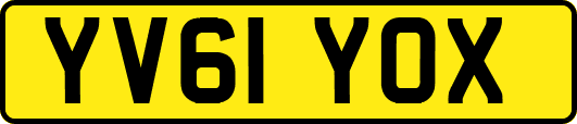 YV61YOX