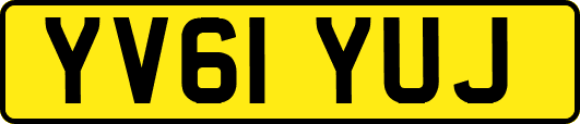 YV61YUJ