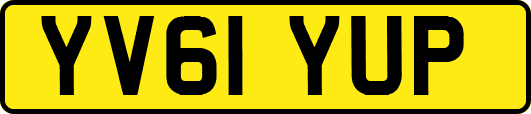 YV61YUP