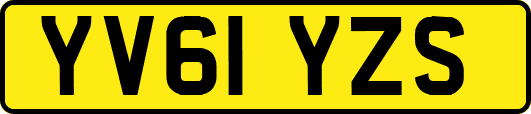 YV61YZS