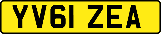 YV61ZEA