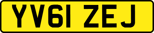 YV61ZEJ
