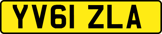 YV61ZLA