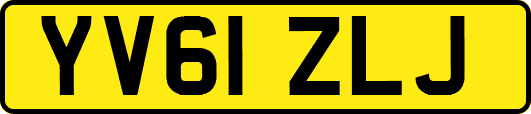 YV61ZLJ
