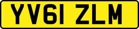 YV61ZLM