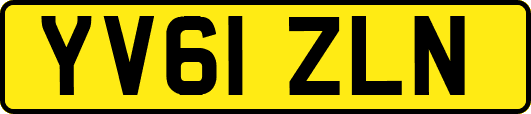 YV61ZLN