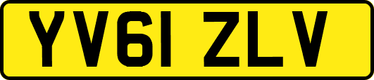 YV61ZLV