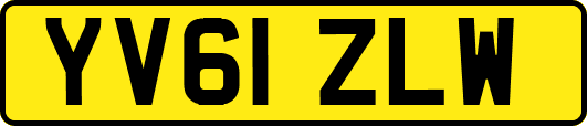 YV61ZLW