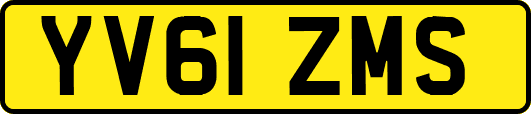 YV61ZMS