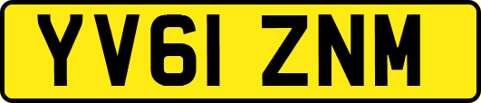 YV61ZNM