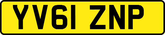 YV61ZNP
