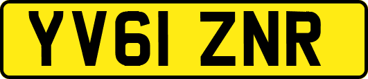 YV61ZNR