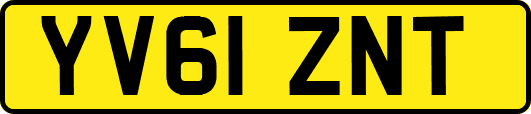 YV61ZNT