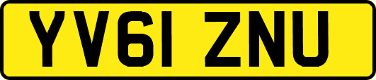 YV61ZNU