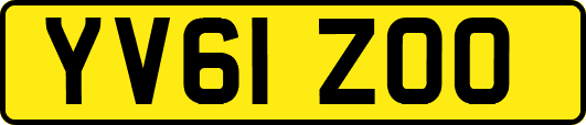 YV61ZOO