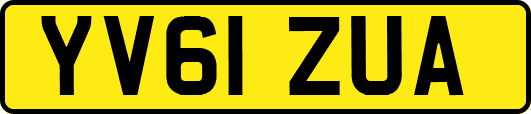 YV61ZUA