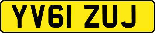 YV61ZUJ