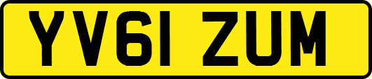 YV61ZUM