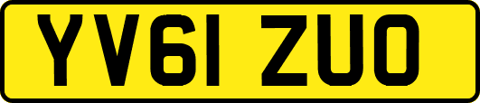 YV61ZUO