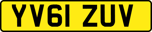 YV61ZUV