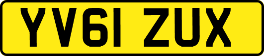 YV61ZUX