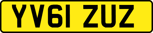 YV61ZUZ