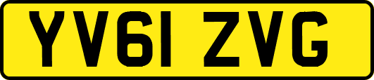 YV61ZVG