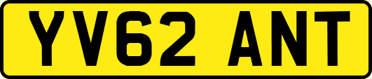 YV62ANT