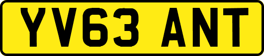 YV63ANT