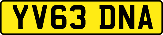 YV63DNA