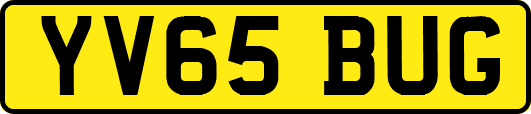 YV65BUG