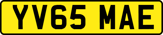 YV65MAE