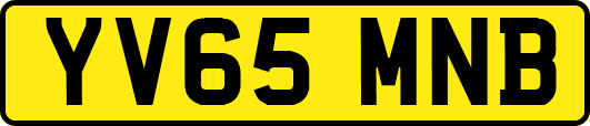 YV65MNB