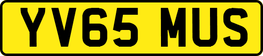 YV65MUS