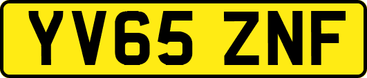 YV65ZNF
