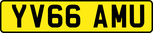 YV66AMU