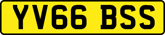 YV66BSS