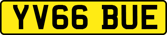 YV66BUE