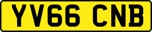 YV66CNB