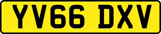 YV66DXV