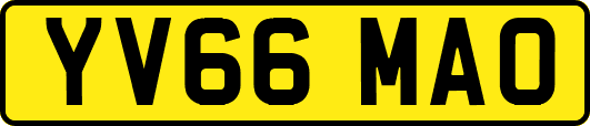 YV66MAO