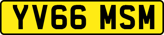 YV66MSM