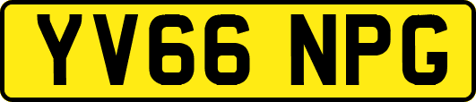 YV66NPG